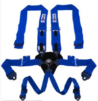 Teamtech Blue 6 Pt Camlock harness